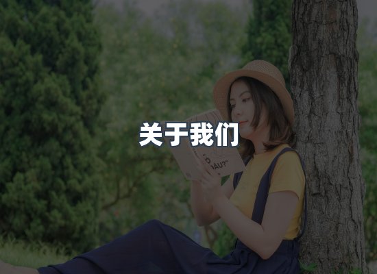 关于我们